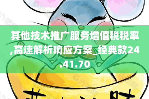 其他技术推广服务增值税税率,高速解析响应方案_经典款24.41.70