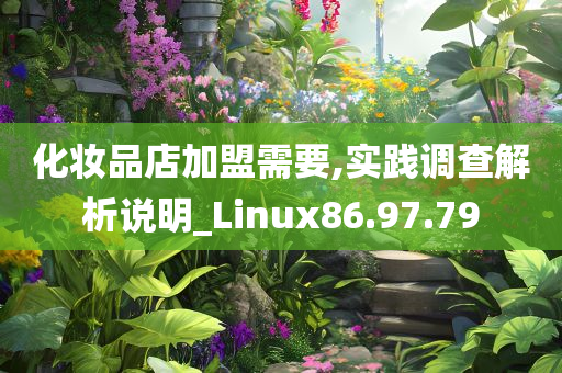 化妆品店加盟需要,实践调查解析说明_Linux86.97.79