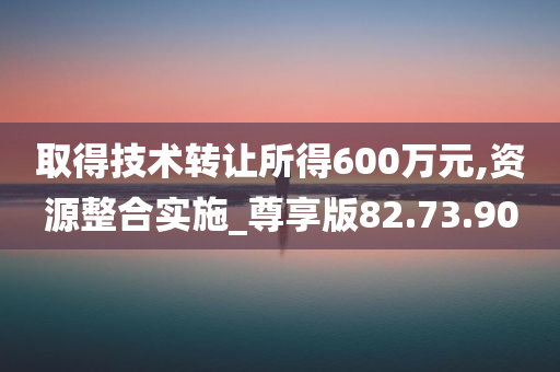 取得技术转让所得600万元,资源整合实施_尊享版82.73.90