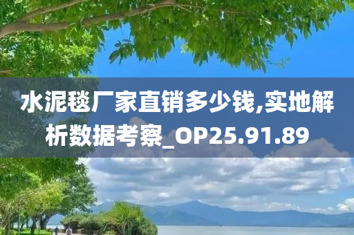 水泥毯厂家直销多少钱,实地解析数据考察_OP25.91.89