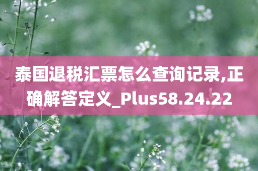 泰国退税汇票怎么查询记录,正确解答定义_Plus58.24.22