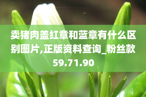 卖猪肉盖红章和蓝章有什么区别图片,正版资料查询_粉丝款59.71.90