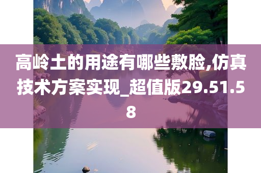 高岭土的用途有哪些敷脸,仿真技术方案实现_超值版29.51.58