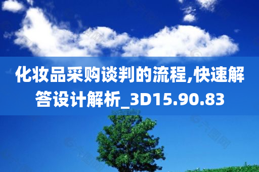 化妆品采购谈判的流程,快速解答设计解析_3D15.90.83