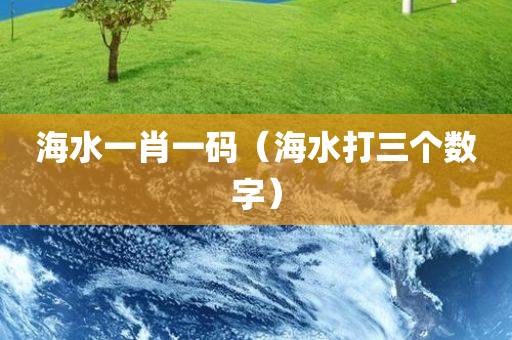 海水一肖一码（海水打三个数字）