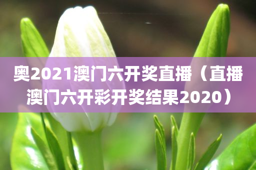 奥2021澳门六开奖直播（直播澳门六开彩开奖结果2020）