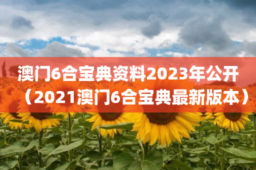 澳门6合宝典资料2023年公开（2021澳门6合宝典最新版本）