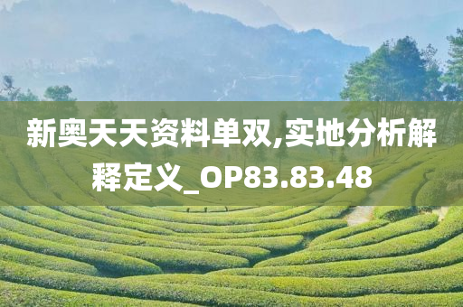 新奥天天资料单双,实地分析解释定义_OP83.83.48