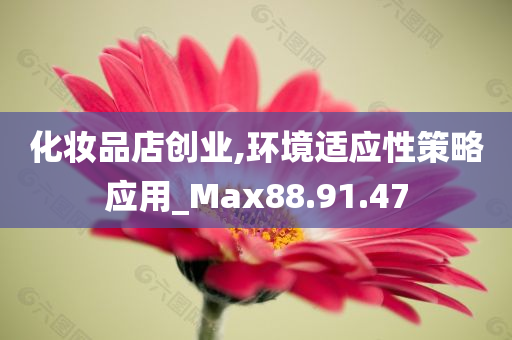 化妆品店创业,环境适应性策略应用_Max88.91.47