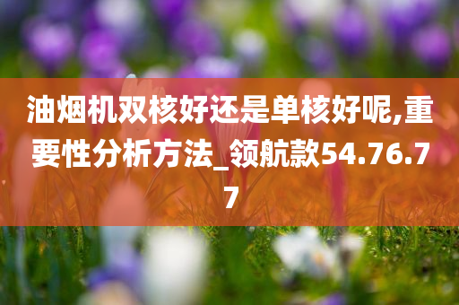 油烟机双核好还是单核好呢,重要性分析方法_领航款54.76.77