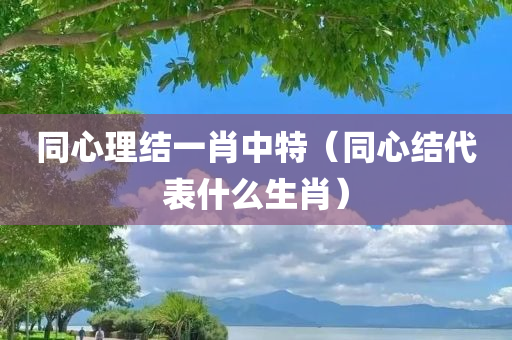 同心理结一肖中特（同心结代表什么生肖）