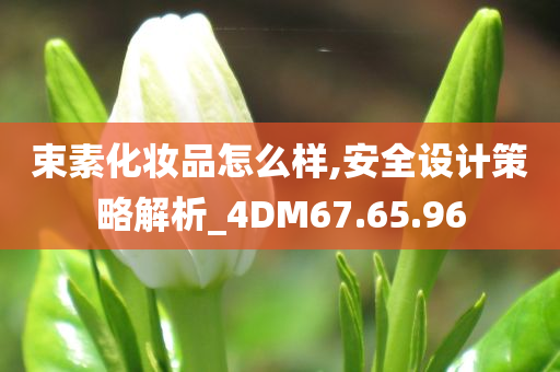 束素化妆品怎么样,安全设计策略解析_4DM67.65.96