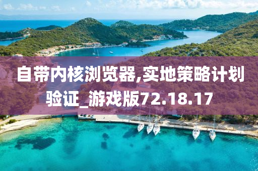 自带内核浏览器,实地策略计划验证_游戏版72.18.17