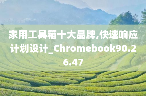 家用工具箱十大品牌,快速响应计划设计_Chromebook90.26.47