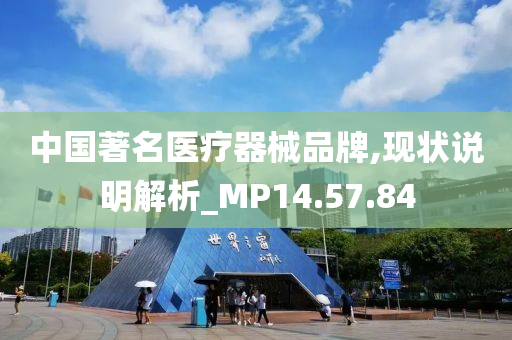 中国著名医疗器械品牌,现状说明解析_MP14.57.84