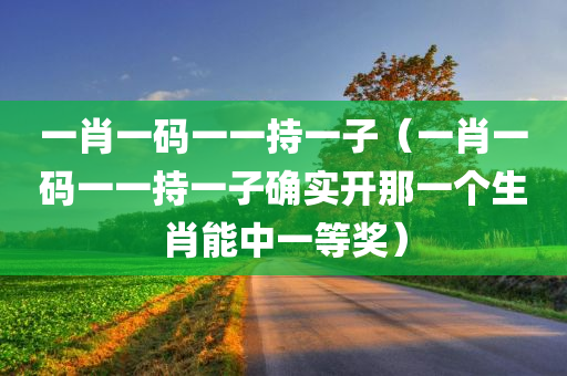 一肖一码一一持一子（一肖一码一一持一子确实开那一个生肖能中一等奖）