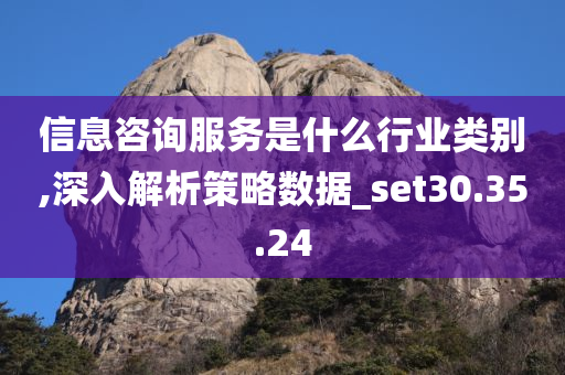 信息咨询服务是什么行业类别,深入解析策略数据_set30.35.24