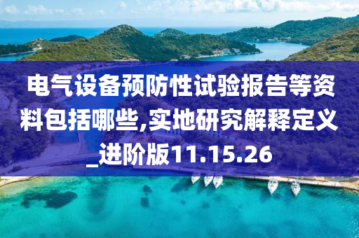 电气设备预防性试验报告等资料包括哪些,实地研究解释定义_进阶版11.15.26