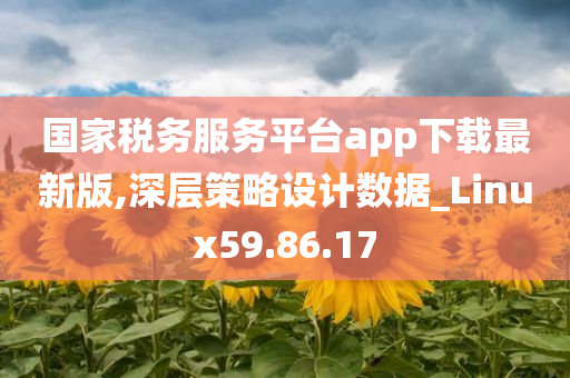 国家税务服务平台app下载最新版,深层策略设计数据_Linux59.86.17