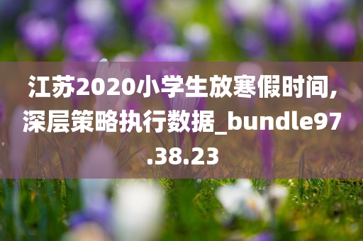 江苏2020小学生放寒假时间,深层策略执行数据_bundle97.38.23