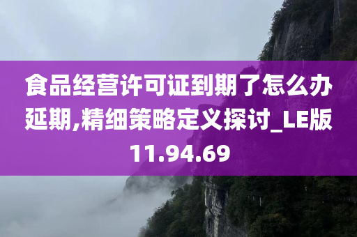 食品经营许可证到期了怎么办延期,精细策略定义探讨_LE版11.94.69