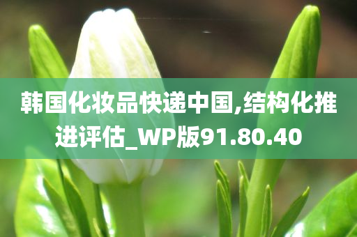 韩国化妆品快递中国,结构化推进评估_WP版91.80.40