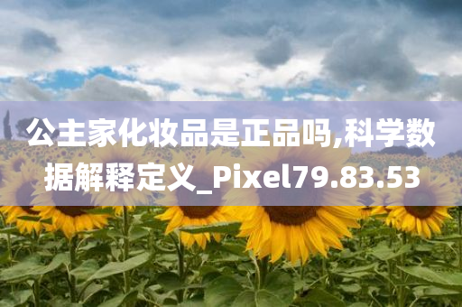 公主家化妆品是正品吗,科学数据解释定义_Pixel79.83.53