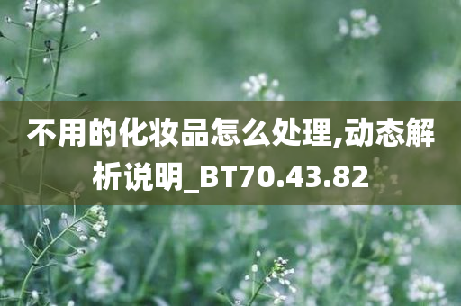 不用的化妆品怎么处理,动态解析说明_BT70.43.82