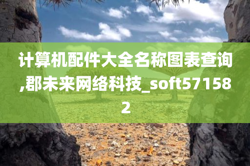 计算机配件大全名称图表查询,郡未来网络科技_soft571582