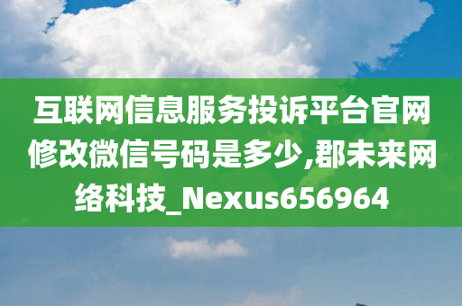 互联网信息服务投诉平台官网修改微信号码是多少,郡未来网络科技_Nexus656964