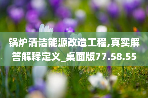 锅炉清洁能源改造工程,真实解答解释定义_桌面版77.58.55