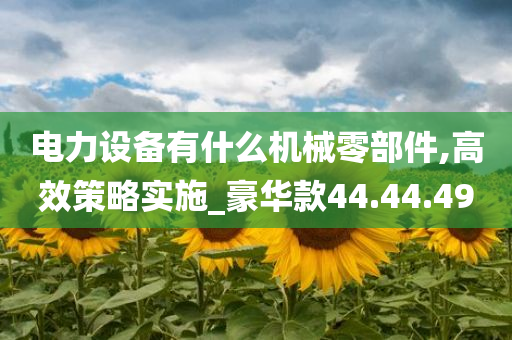 电力设备有什么机械零部件,高效策略实施_豪华款44.44.49