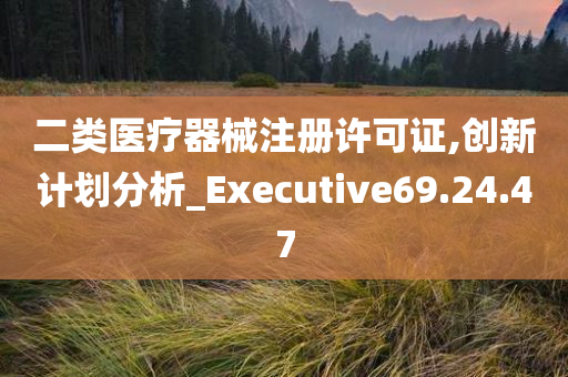 二类医疗器械注册许可证,创新计划分析_Executive69.24.47