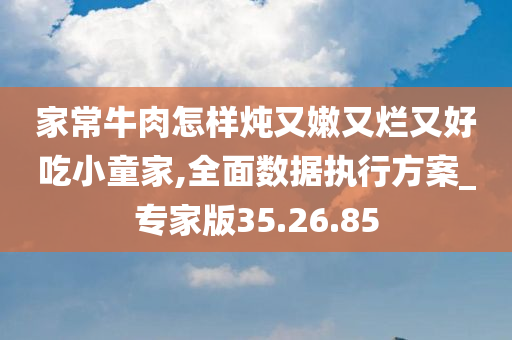 家常牛肉怎样炖又嫩又烂又好吃小童家,全面数据执行方案_专家版35.26.85