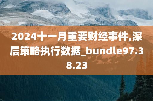 2024十一月重要财经事件,深层策略执行数据_bundle97.38.23