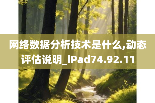 网络数据分析技术是什么,动态评估说明_iPad74.92.11