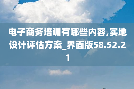 电子商务培训有哪些内容,实地设计评估方案_界面版58.52.21