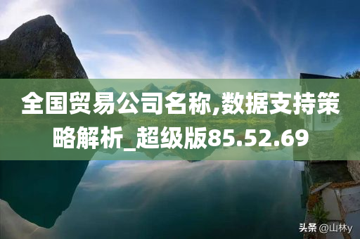 全国贸易公司名称,数据支持策略解析_超级版85.52.69