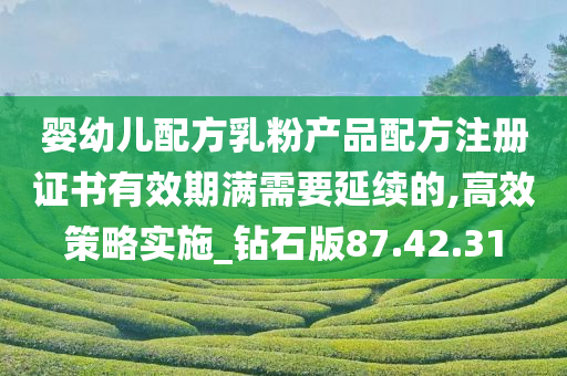 婴幼儿配方乳粉产品配方注册证书有效期满需要延续的,高效策略实施_钻石版87.42.31