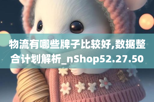 物流有哪些牌子比较好,数据整合计划解析_nShop52.27.50