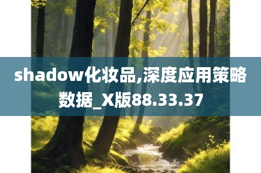 shadow化妆品,深度应用策略数据_X版88.33.37