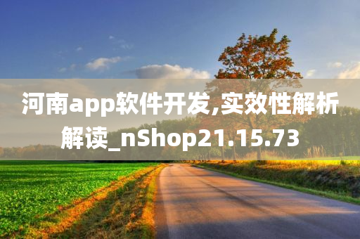 河南app软件开发,实效性解析解读_nShop21.15.73