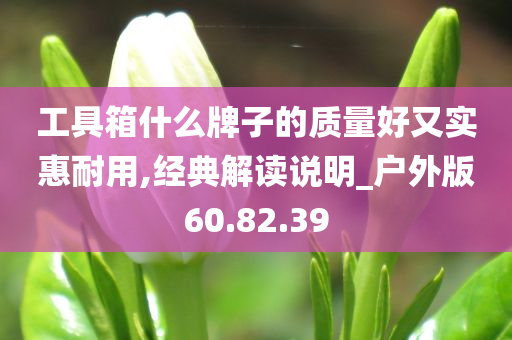 工具箱什么牌子的质量好又实惠耐用,经典解读说明_户外版60.82.39