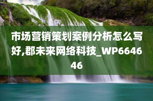 市场营销策划案例分析怎么写好,郡未来网络科技_WP664646