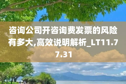 咨询公司开咨询费发票的风险有多大,高效说明解析_LT11.77.31