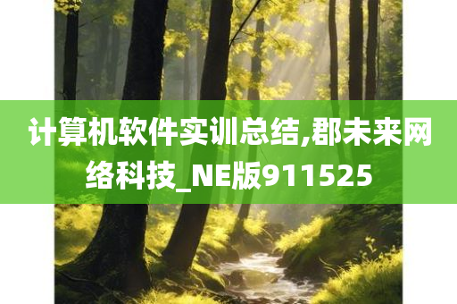 计算机软件实训总结,郡未来网络科技_NE版911525