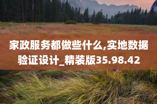 家政服务都做些什么,实地数据验证设计_精装版35.98.42