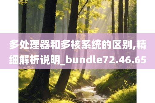 多处理器和多核系统的区别,精细解析说明_bundle72.46.65