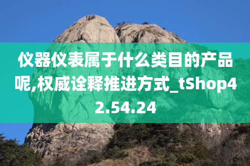 仪器仪表属于什么类目的产品呢,权威诠释推进方式_tShop42.54.24