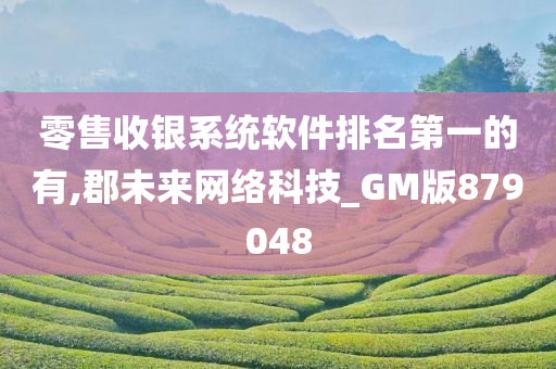 零售收银系统软件排名第一的有,郡未来网络科技_GM版879048